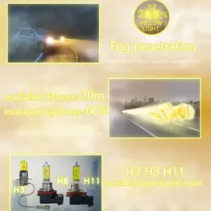 S2855c1e69d4c44bab4f58c7417ccbe4bQ