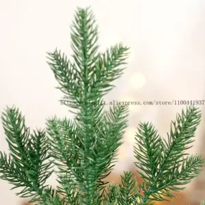 S3717805dfe8648d6aef22addcbe87b66g