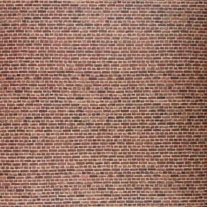 S3a97f84a474a46cda871c45b2258328cO