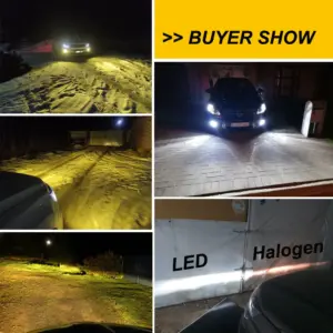 S3aa72ed814d14fe0aab5e50ced52aec51 1