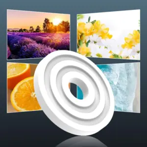 S3b9d9e11daee43929a75bd9beebccda9e