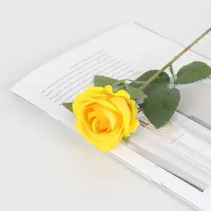 S3cb781cd83114d8cb52ea63d58012e52u