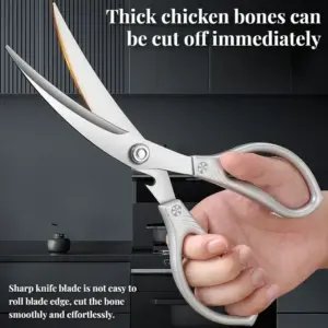 S3e207986ee8a4eb7a49e49421071550eh