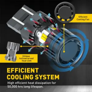 S3e687cad532c4a049c405e8a413352e4C