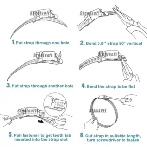 S462def4a11964bdb8ccde7f0dfd824e7o