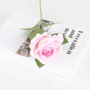 S471a52ca61ab45e78650acfa2f74d890J