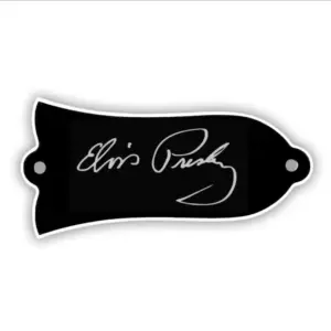 Gibson Les Paul Custom Truss Rod Cover Plate 3 S47e4062d6d3549979c9f666323ddb150n