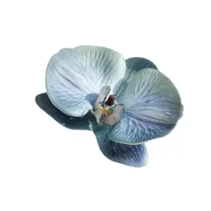 S48187b6c3594453a8041c26ccb65e19aD