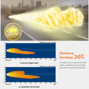 S51c2ddaba5d74795a40ae80ee0aa18f08