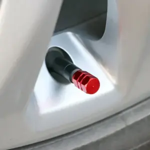 S55ae81a32e624112be6f4bafaeeb4522p