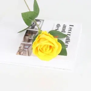 S5625a5d654144729a2228fa73b6445c5A