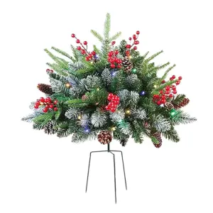 S5c0ede6332b24cd98f8063eb625e3424o