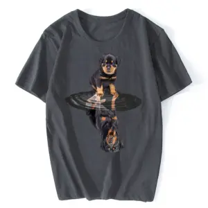 S5c38e1e14eec4307b685cad7f99d50b6J