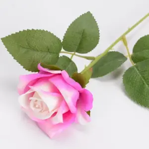 S5e599ce3e4754ec9aaa31d4050e628c7y