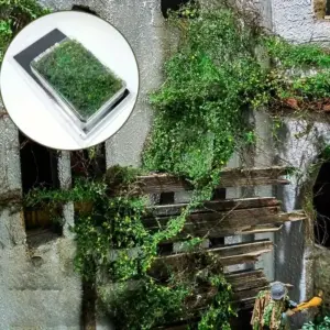 Vibrant Miniature Green Plant Creeper Vines