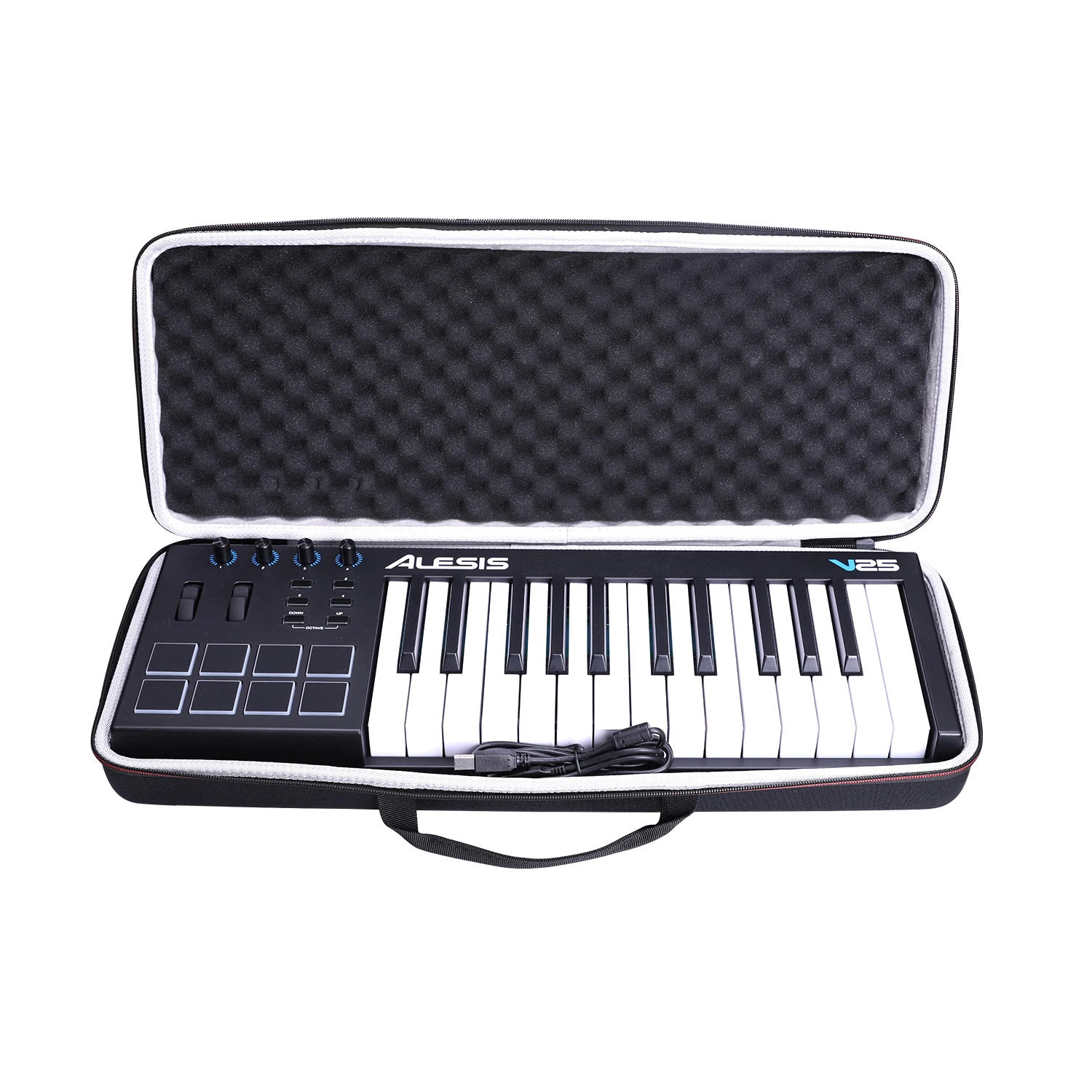 Alesis V25 MIDI Keyboard Case 1 Alesis V25 MIDI Keyboard Case
