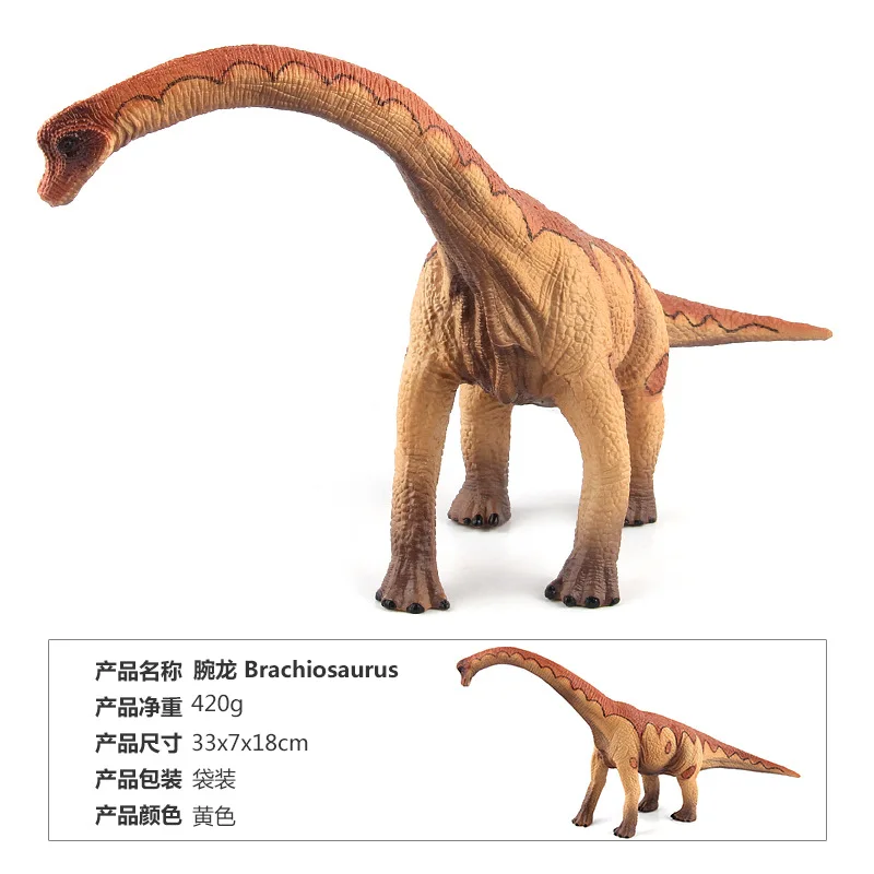 Jurassic Apatosaurus Dinosaur Model for Collectors 9 Jurassic Apatosaurus Dinosaur Model for Collectors - Image 9