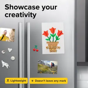 S65efb43ae70d46b4a03c3eb173d6edf3X