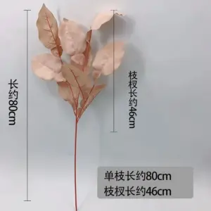 S661edf23bdd3462a8a2b952e3f0f3b4dM