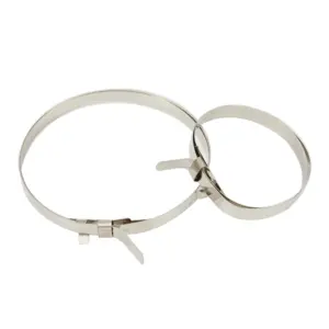 Stainless Steel CV Boot Clamp Set 10pcs 11 S6dbdca56d2754e8894eb366893dcbbc6j