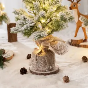 S745ab2cce60e4d3a8de2f36884b4cd5dW