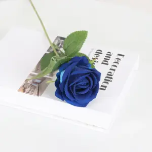 S76b6d5d6dadb4f32895aaf6211c231a1P