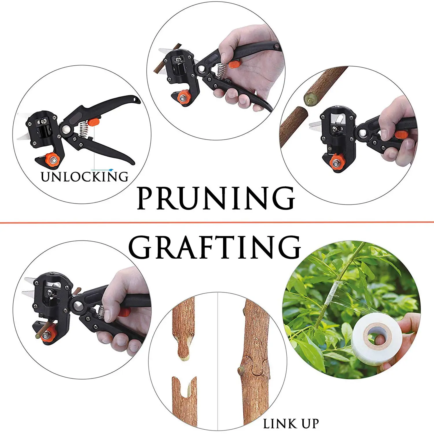 Professional Grafting Kit for Fruit Trees 4 Professional Grafting Kit for Fruit Trees - Image 4