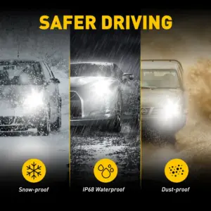 S943c7a4f361e45b295671edf79357834B