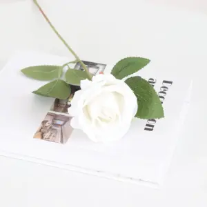 S947b05cc7c11461fbf313638a89182c55