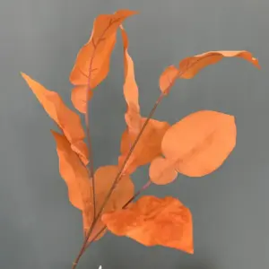 S9722ec9d6fa74e03befbbcad31be60f3e