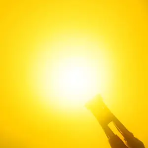 Sa196b4e68dab48ae9dc65e4b122754eaQ