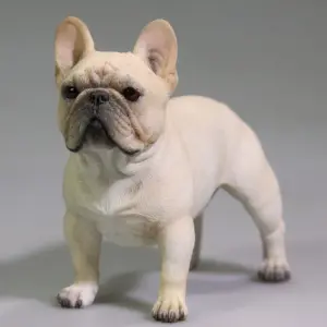 1/6 Scale French Bulldog Resin Model Collection 26 Sa3c83130e3444ffc9eb2b7925f9baa0e7 1