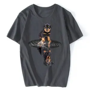 Sa9ef8d564ca54121bfefe709d68a3d95f