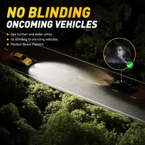 Sab07d2207c684bc99ccfbcb6cbc20898C