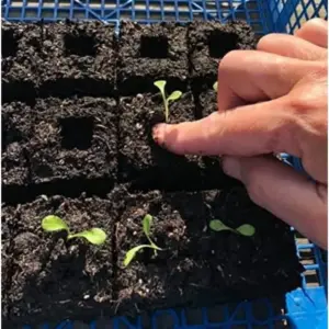 Sac6cd09a95f8408e8d549d122dd0bd3dQ