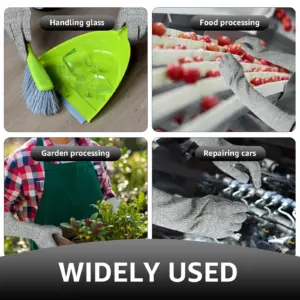 Sb31de6a55a284ec4b6ede16712596c92a