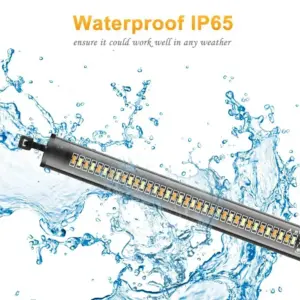 Sb75c47de99f549a4a9c23399acc98286G