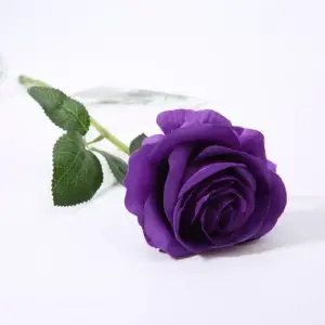 Sba20bf8007bb46a6adecc6b5d89417e4X