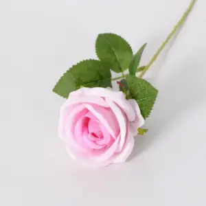 Sbec2a2bbd5ee4a66a6a5a7370a6db9a1O