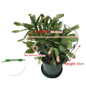 Sbedc4a216c324ef4b6e40e210f4dfb3ee