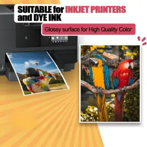 Sc4b19cf4a1544c599dbd07fe01d8f589d