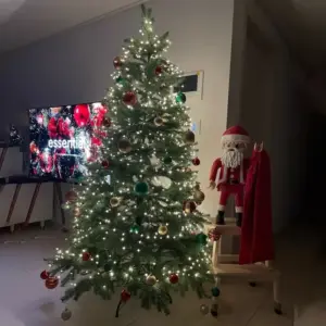 Sc61f835d406242b282a3bf3b1f8b5ebdQ