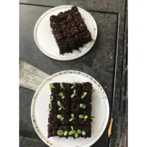 Sc9900fdbca824b1fa99b4a500a5794be7