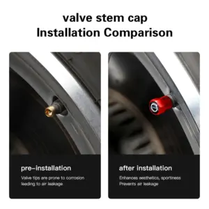 Scc17258790804e0a8582c0e21e9f5613b