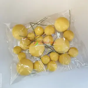 Sd469b332b23446448b70d94324c64866Z 2