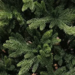 Se3ca2a952b554a07acd46e389379df1fi