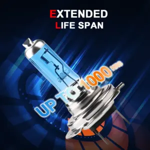 High-Performance 12V 55W Halogen Bulbs Set 10 Seb2d477c008f47a7bc2eb65c4df7e381R