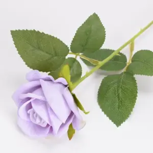 Sec0ed98134be473f8d776c7b3b247712M