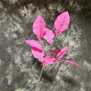 Sed27cac994104165a9487e8fd1c67c6es