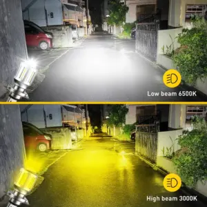 Sf5651b1edd02442db9e3f36a48802384M